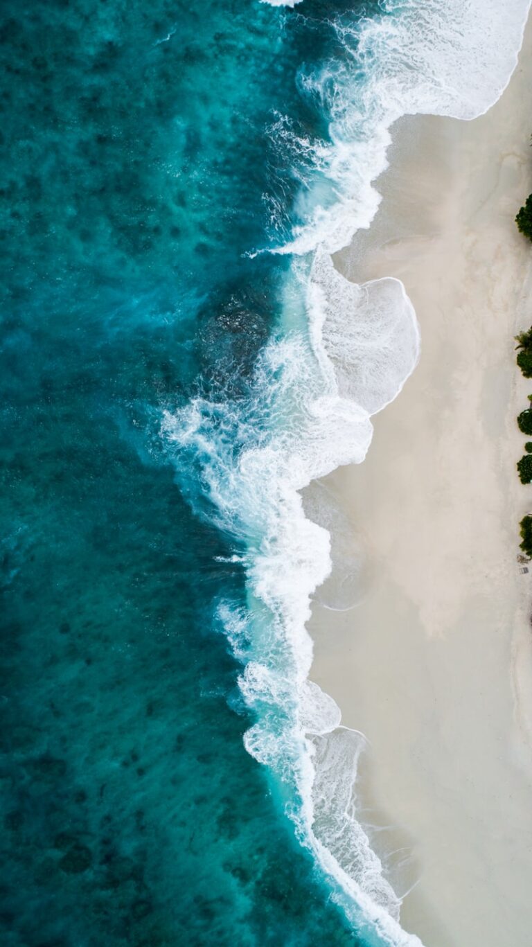 A Sereia que Queria Aprender a Voar